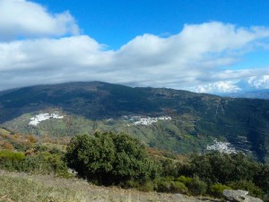 cannar2019-18