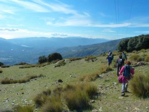 cannar2019-26