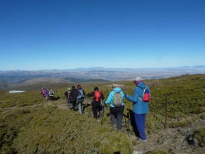 catifas2019-11