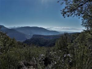 colomera2019-09