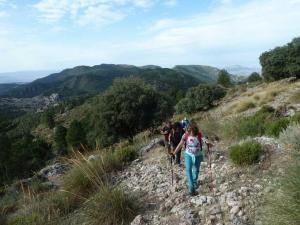 csereno2019-07