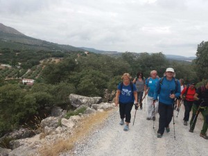 illora2019-12