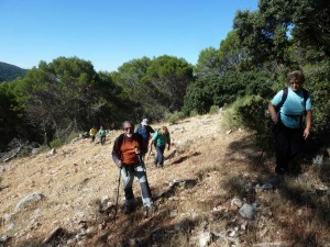 pmata2019-06