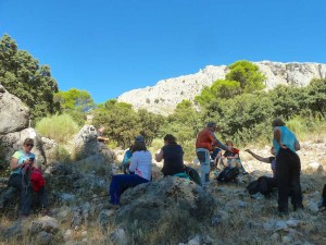 pmata2019-07
