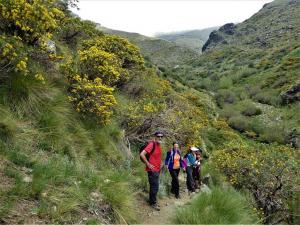 poqueira2019-21