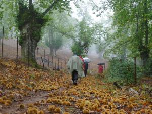 Aracena (23)