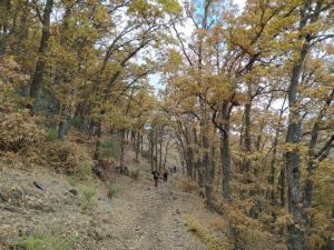 El Aceral Guejar (4)