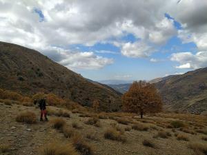 El Aceral Guejar (5)