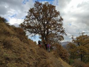 El Aceral Guejar (7)