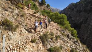 Canillas-19