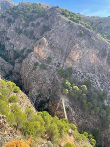 Canillas-4