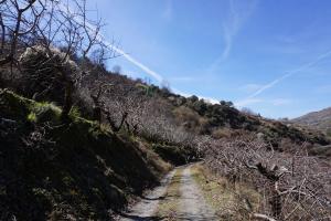 GuejarSierra-24