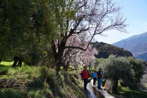 GuejarSierra-4