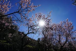 GuejarSierra-8