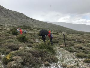IMG 3543