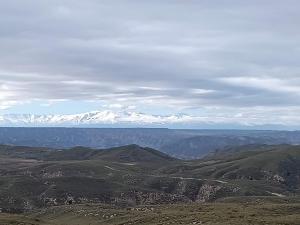 pnegratin-18